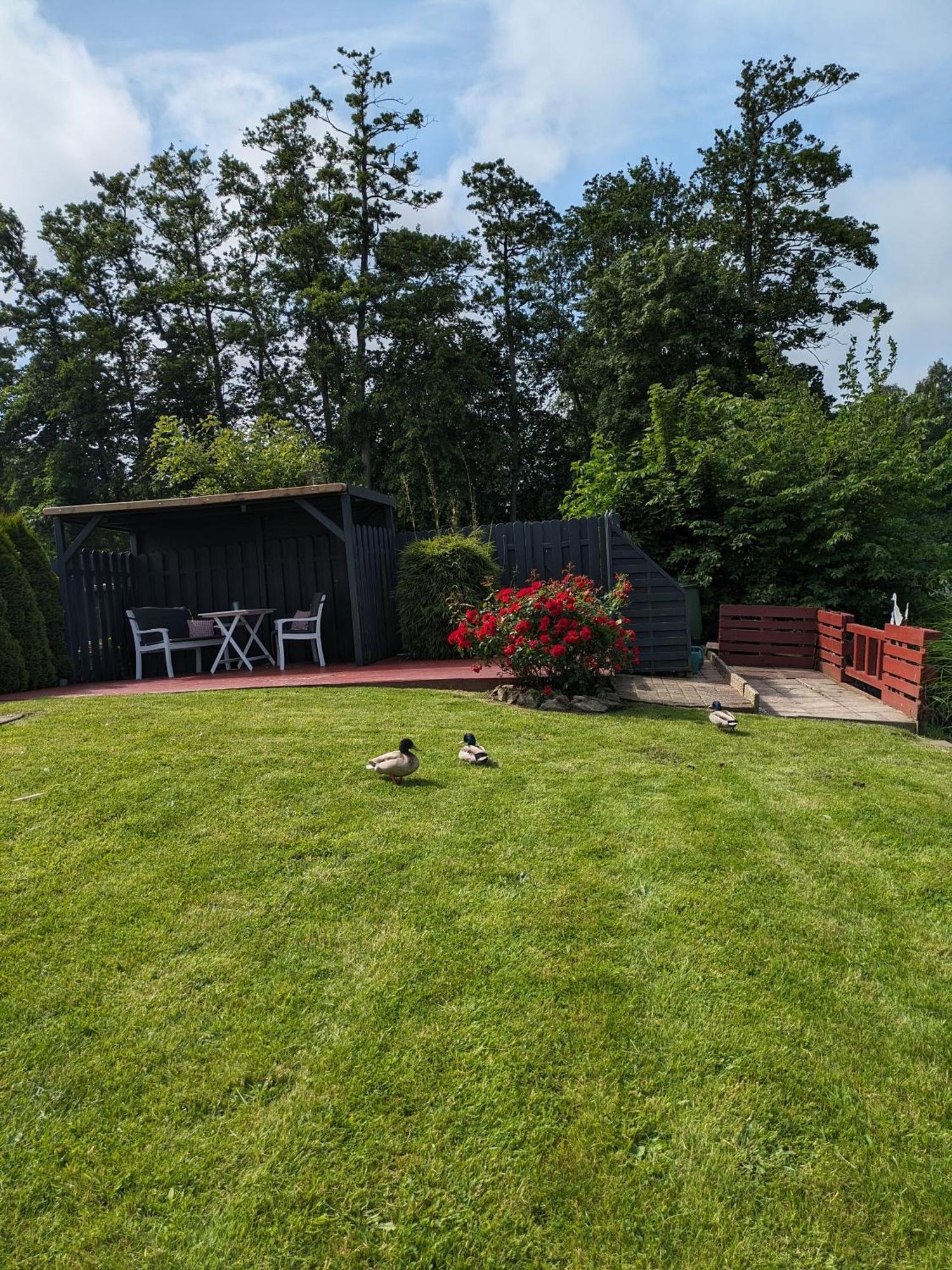 Villa Haus Vivienne Dornum Exterior foto